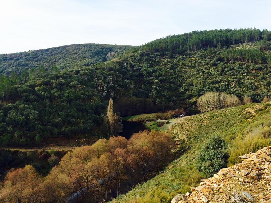 La Primavera Nuez Exteriér fotografie